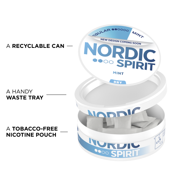 Mint Nicotine Pouches