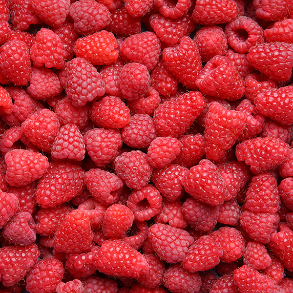 Raspberry Nicotine Pouches